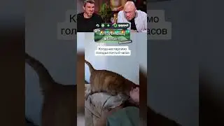 AWESOME JOKE with a cat 🥹 😅