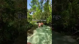 8 beautiful springs in Florida you need to experience! ☀️🌴🛶 Clear kayaking in Crystal-clear waters