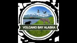 Alaska's Volcano Bay bear viewing