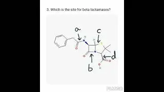 PHARMACOLOGY QUIZ (ANTIBIOTICS) NEET PG HIGH YIELD