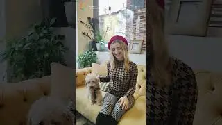 Весели празници от екипа на Optimiziraime.bg