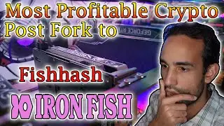 Ironfish Profits are Glorious!.. For Now