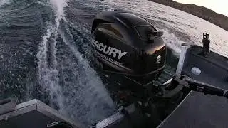 Final Review: 25HP Mercury Outboard 4-stroke EFI Motor