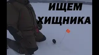 В ПОИСКАХ ХИЩНИКА. Рыбалка на можайском водохранилище.