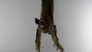 Morcego Horripilante o Terror de sua Festa de halloween