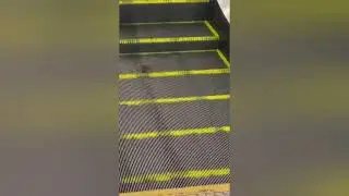 ...мне бы не хотелось попасть в ситуацию мышонка...