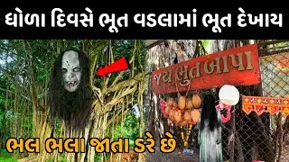 આ ભૂત વડલામાં ભલ ભલા જતાં ડરે છે 😮 ધોળા દિવસે તારા દેખાદે bhut vadlo satadhar Mandir