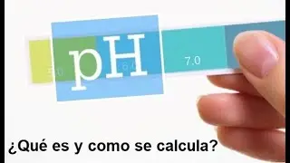 QUE ES EL pH Y COMO CALCULARLO | TEORIAS DEL PH Y EJERCICIOS