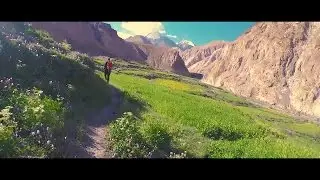 LEH - Summer 2016
