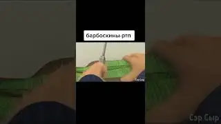 Барбоскины ртп/ Barboskiny RTP