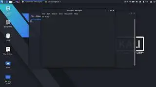 Wifi icon is missing by mistake in kali 2020.2