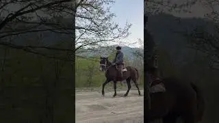 Zaur Quluzade Masallıda At ilə (Faytonçuyam At Qara) #zaurquluzade #faytoncu #musicvideo #muzik