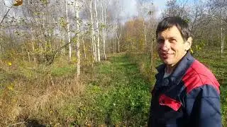 Яблоня из семечка