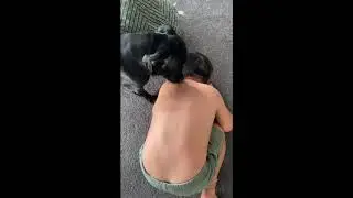 {Jeff the ref eps2} How Mia cleaned my brother's ear wax