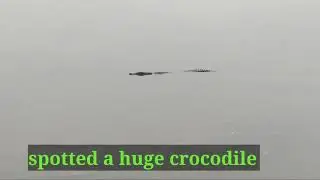 Sungie Buloh Wetland Reserve Part 2