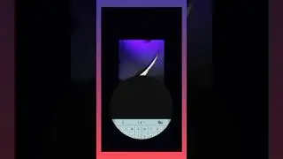 Dark Magnetism