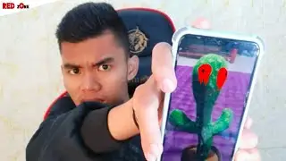 Di Datangi Mainan Talking Kaktus Tengah Malam | #Dangerzone