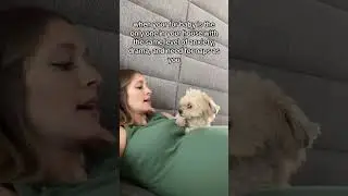 My little fur baby gets me 🥰 #dog #baby #pregnancy #furbaby