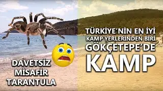 Gökçetepe Tabiat Parkı (En iyi Kamp Yeri)