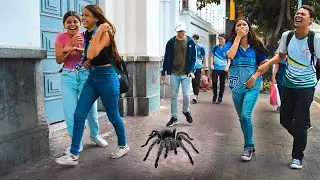 PEGADINHA DA ARANHA - ASSUSTANDO PESSOAS