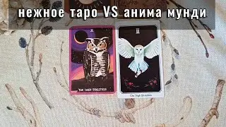 Сравнение 2-х таро с животными: Анима Мунди VS Gentle Tarot