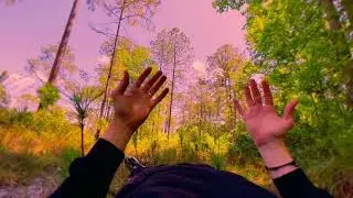 HONGOS - Bryan Manuel x Fredlyx [Human Visualizer]