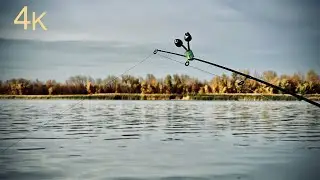 Donskoy rybets (syrt) course! Fishing in November!