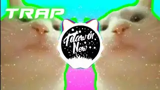 Cat Vibing Meme  (PedroDJDaddy 2021 Trap Remix)