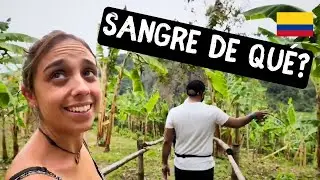 🔥From COLOMBIA to EUROPE☕️ The best COFFEE in the WORLD? The SECRETS behind the production of Coffee