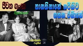 Thana thina ne....තාන තිනානෙ තරිකිට ගහන රබානේ