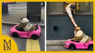 Moment dog cruises into McDonald's drive-thru in pink Lamborghini