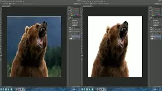[TUTORIAL] How to cut out an image in Photoshop