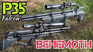P35 Falcon vs Behemoth PS R2