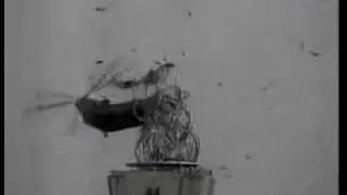 Helicopter Crashes into Bridge