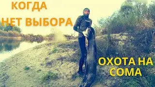 Подводная Охота на СОМА по норам и подмоинам