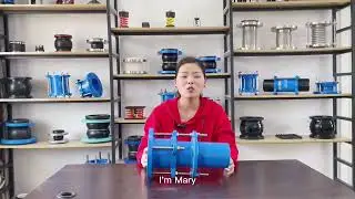 Explanation of single flange expansion joint