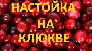 Настойка на клюкве. Клюквенная водка.