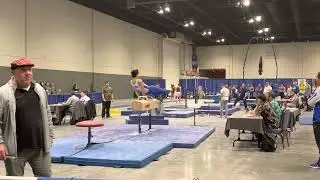Men’s gymnastics Hawaiian Pineapple competition. Pommel horse 2022
