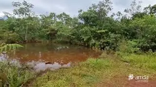 Salve o Parque Estadual da Serra do Rola Moça