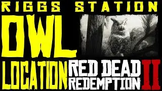 Red Dead Redemption II Owl Location