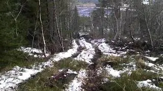 Valmet 665 in the forest