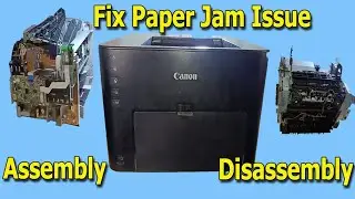 How to Fix Paper Jam Issue in Canon LBP151DW Printer | Canon LBP151DW Disassembly
