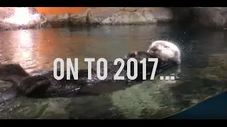 On To 2017- Director Reel 2016