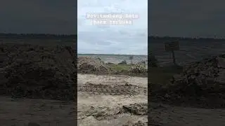 Tambang batubara #batubara #tambang #coal #mining #coalmining #emashitam #pertambangan