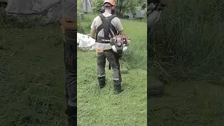 Strimming Overgrown Gardens - Knee High Wet Grass - Tips and Tricks 2/3