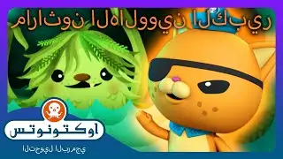 أوكتونوتس | 🎃 ماراثون الهالووين الكبير 👻 | حلقات مجمعة