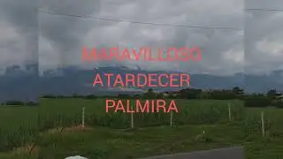 ATARDECER MARAVILLOSO PALMIRA