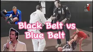 Black Belt vs Blue Belt