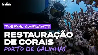 GoPro: Restauração de Corais em Porto de Galinhas - PE | Branqueamento Corais
