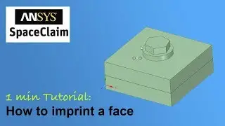 [1 min SpaceClaim Tutorial] How to imprint a face